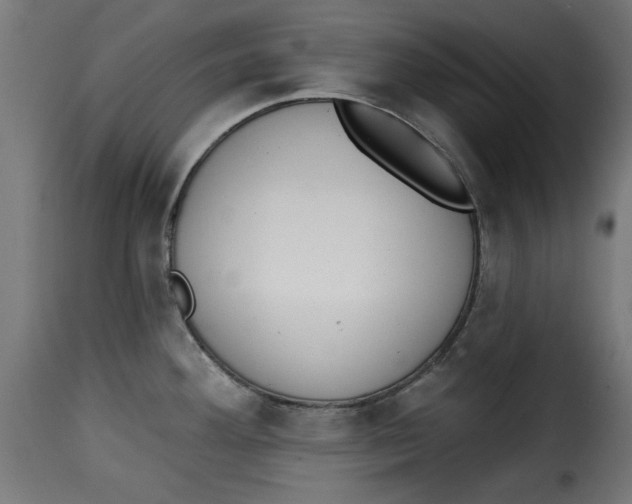 X0000115231292200911201548