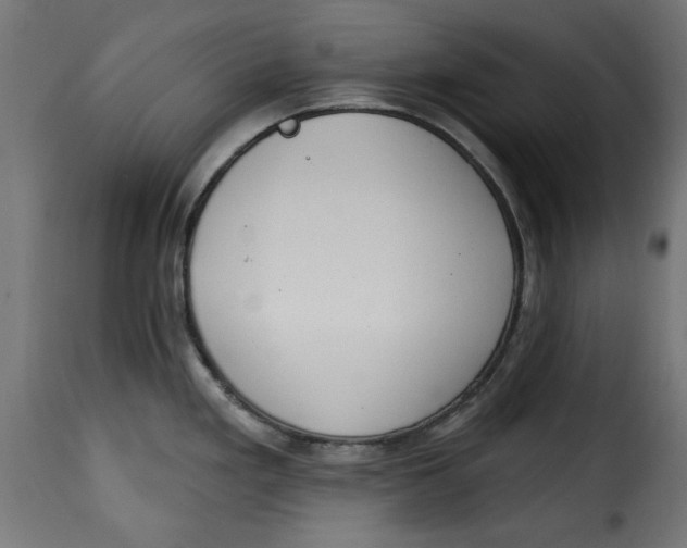 X0000115231293200911201548