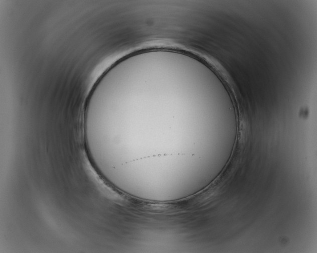 X0000115231295200911201548