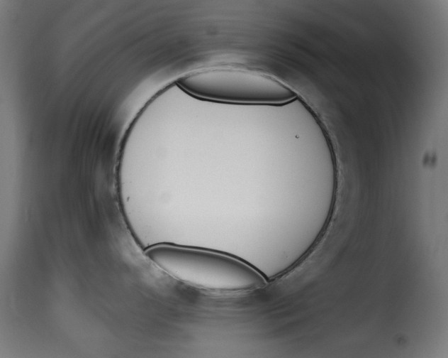 X0000115231296200911201548