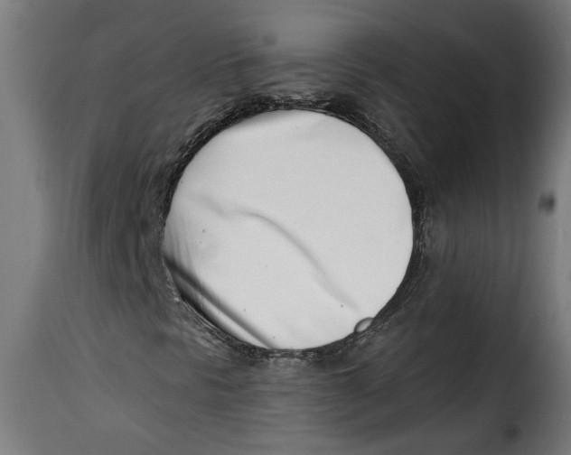 X0000115231297200911201548