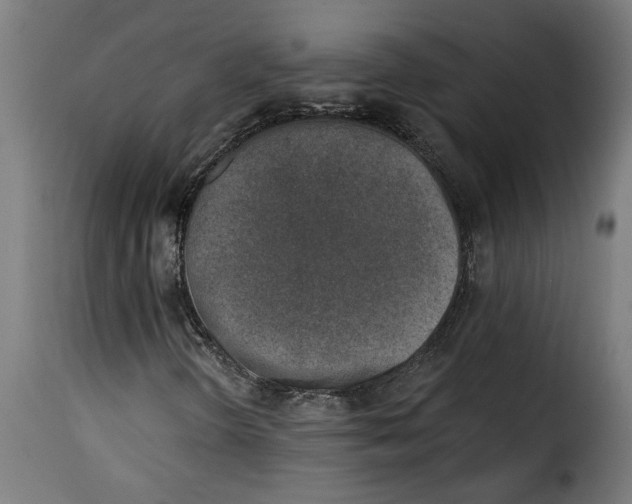 X0000115231298200911201548