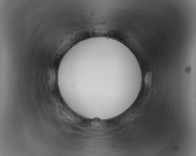 X0000115231299200911201548