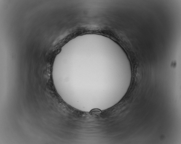 X0000115231301200911201548