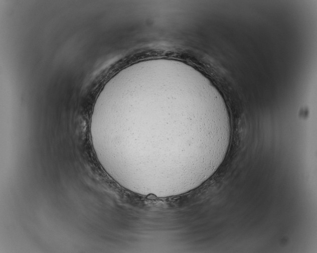 X0000115231302200911201548