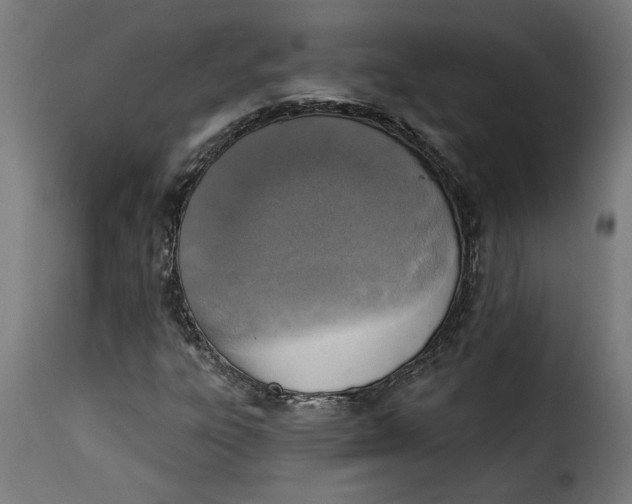 X0000115231303200911201548