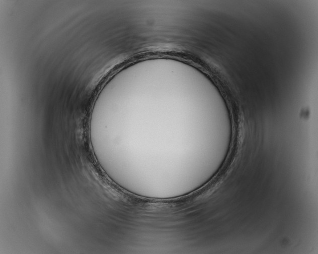 X0000115231305200911201548