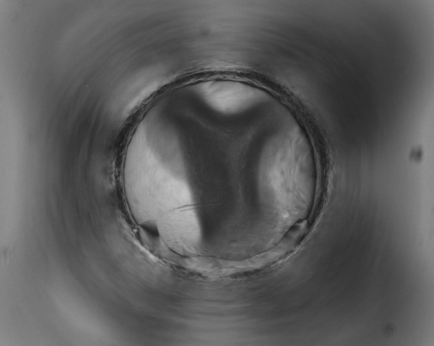 X0000115231306200911201548