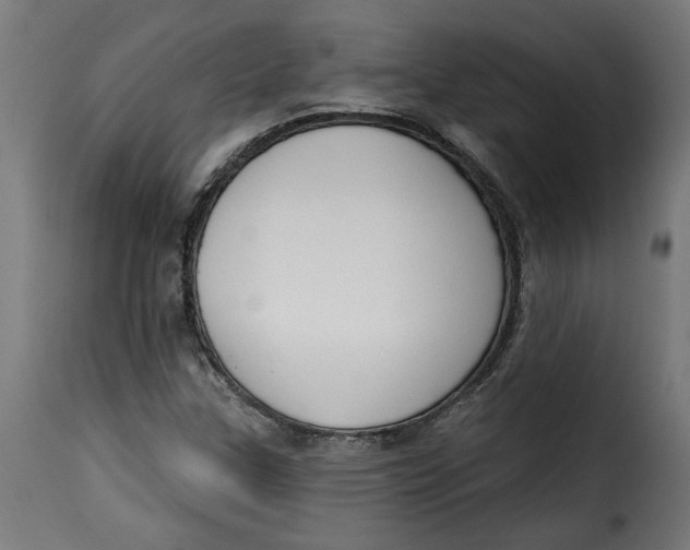 X0000115231307200911201548