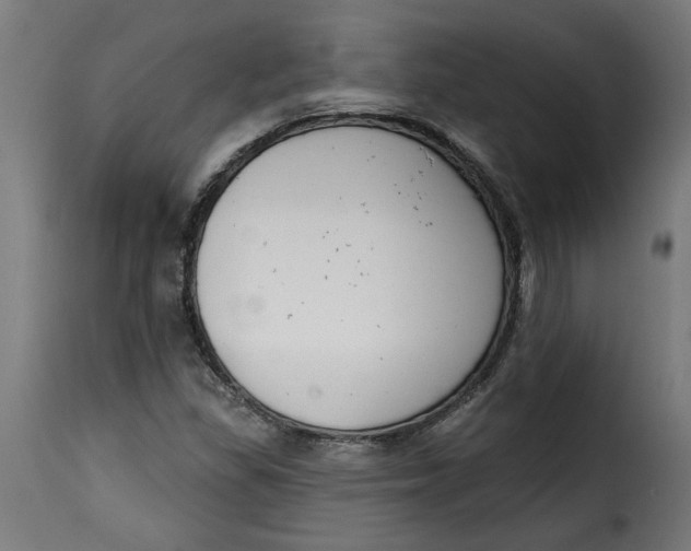 X0000115231309200911201548