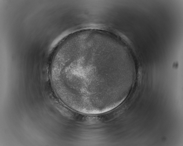 X0000115231310200911201548