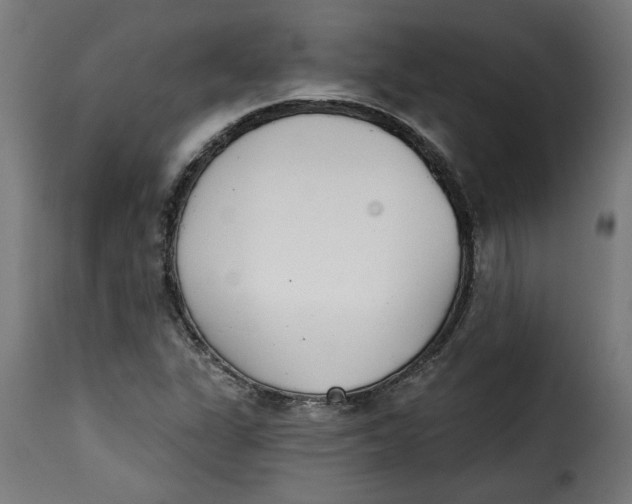 X0000115231311200911201548