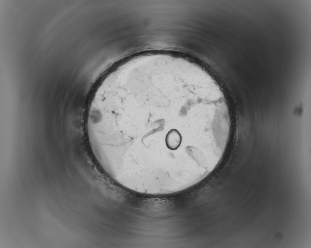 X0000115231314200911201548