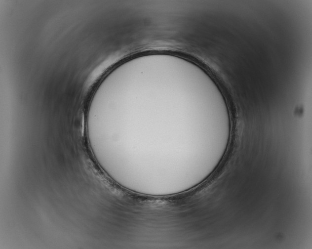 X0000115231317200911201548