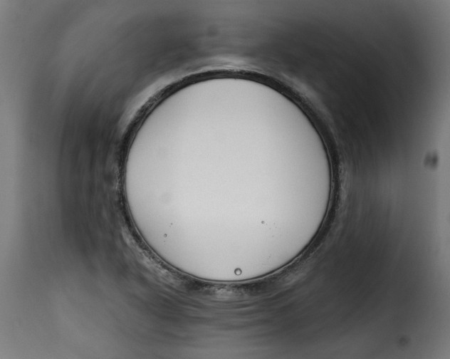 X0000115231318200911201548