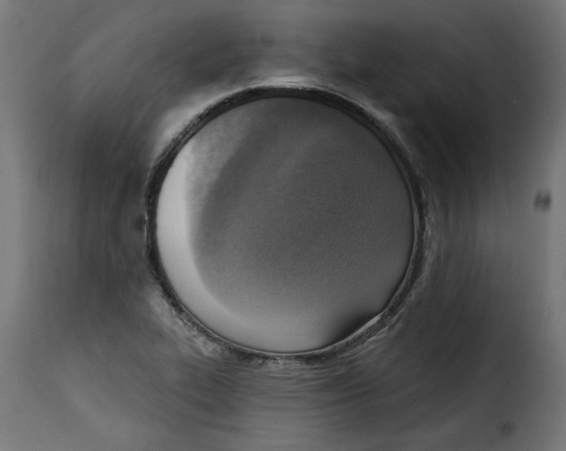 X0000115231319200911201548