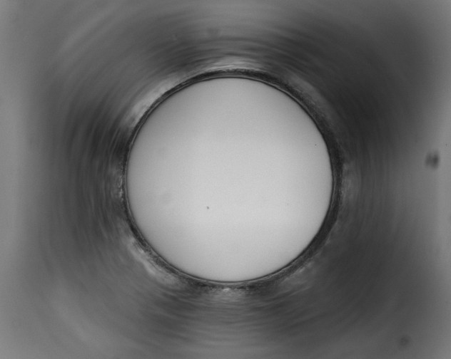 X0000115231321200911201548