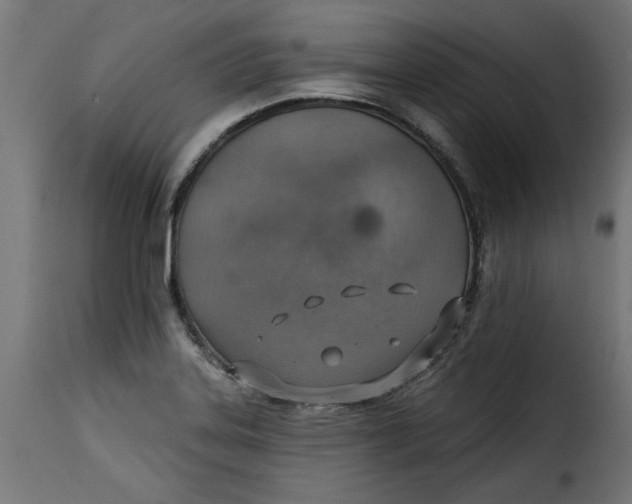 X0000115231323200911201548