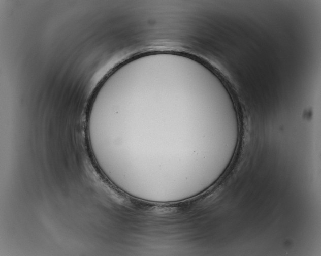 X0000115231325200911201548