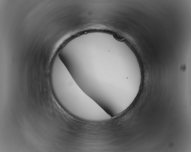 X0000115231326200911201548