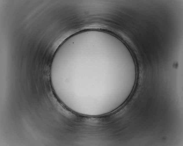 X0000115231329200911201548