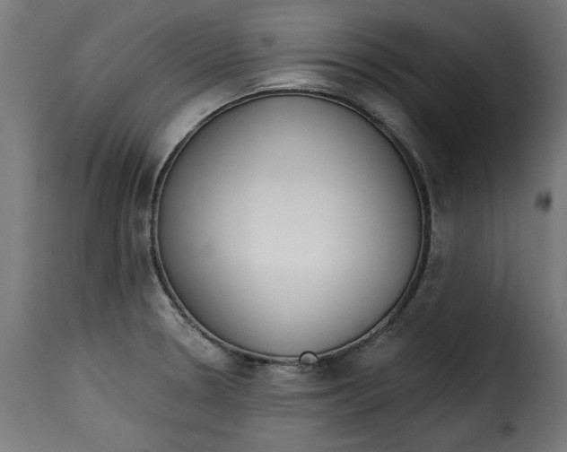 X0000115231330200911201548