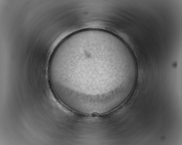 X0000115231331200911201548