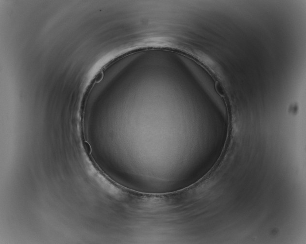 X0000115231334200911201548