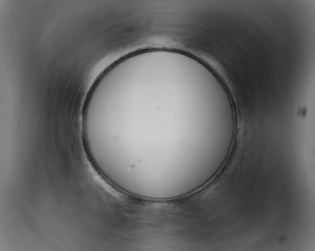 X0000115231335200911201548