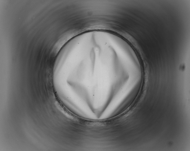 X0000115231337200911201548