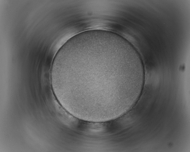 X0000115231338200911201548