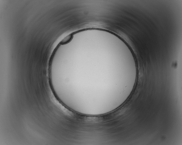 X0000115231339200911201548