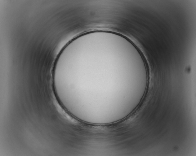 X0000115231341200911201548