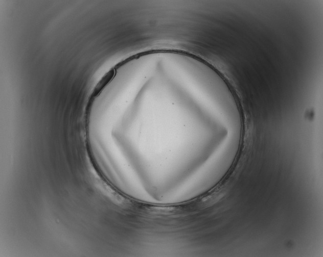 X0000115231342200911201548