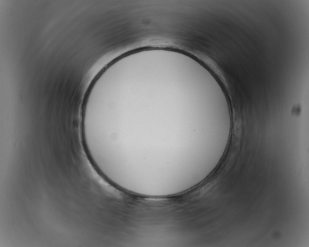 X0000115231343200911201548