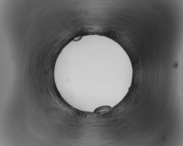 X0000115231345200911201548