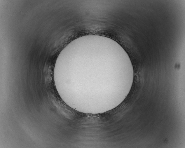 X0000115231346200911201548