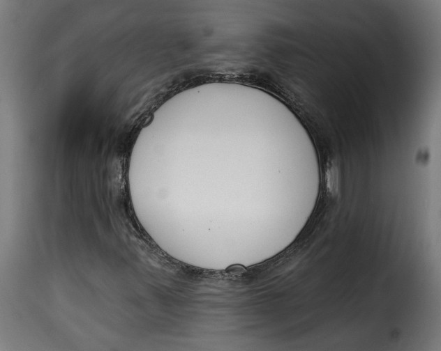 X0000115231347200911201548