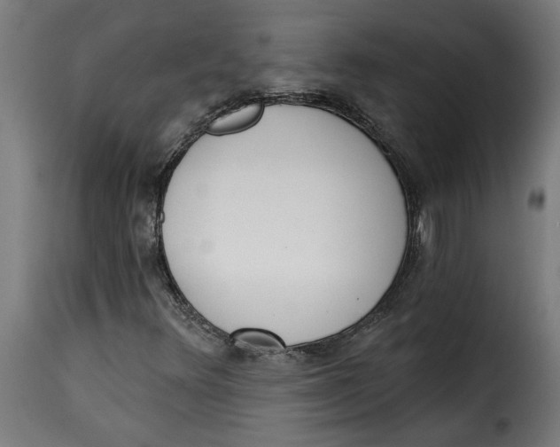 X0000115231348200911201548