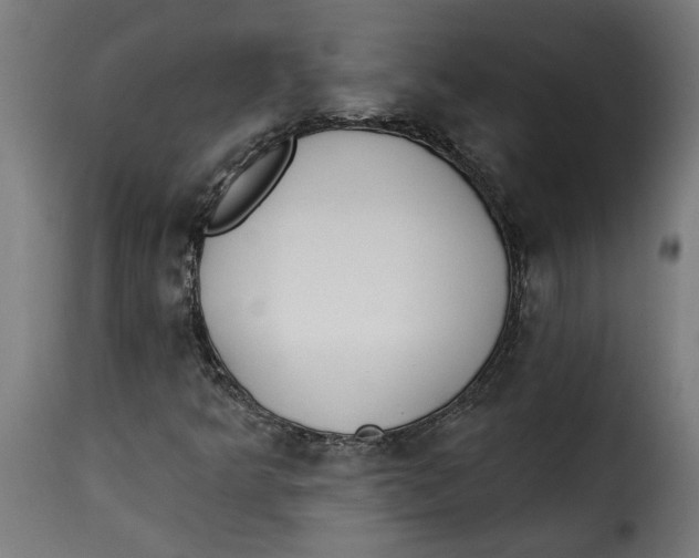 X0000115231349200911201548