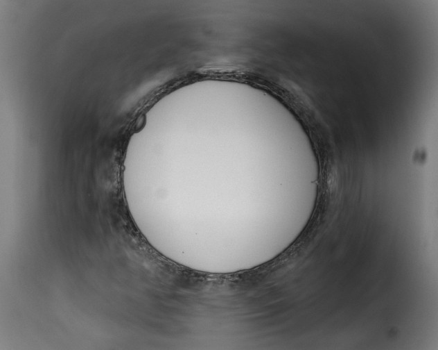 X0000115231350200911201548