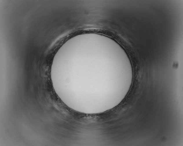 X0000115231351200911201548