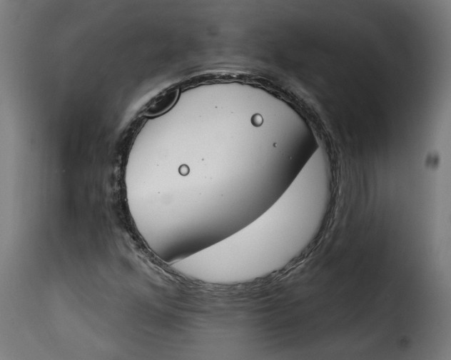 X0000115231352200911201548