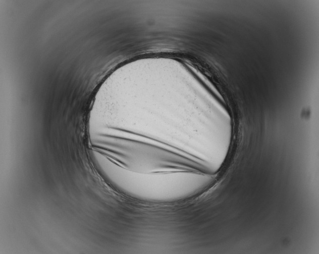 X0000115231353200911201548