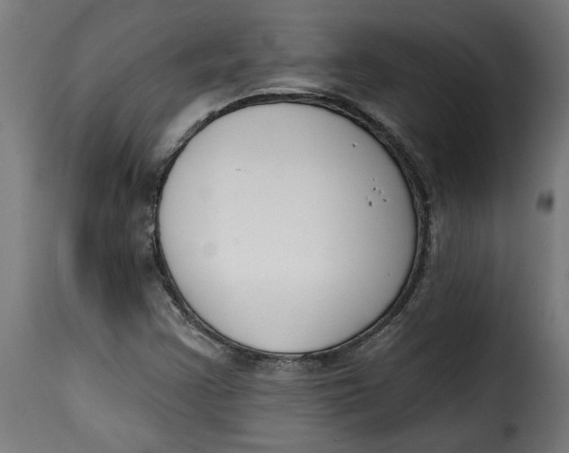 X0000115231355200911201548