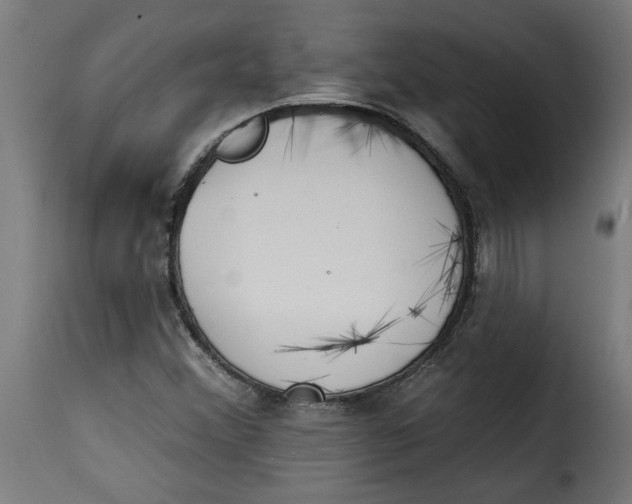 X0000115231356200911201548