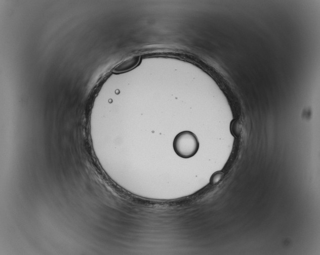 X0000115231357200911201548