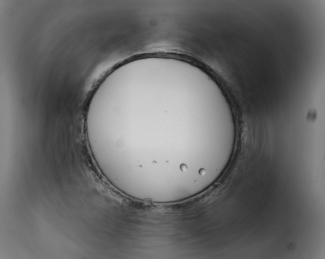 X0000115231358200911201548