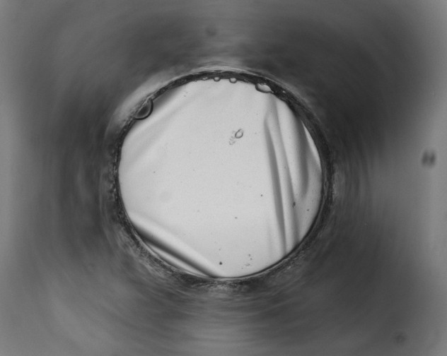 X0000115231359200911201548