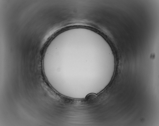 X0000115231360200911201548